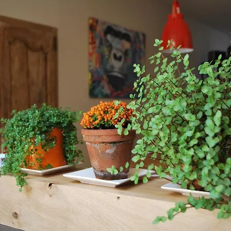 Natangora 3* Marcillac-Vallon