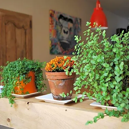 Natangora Bed & Breakfast Marcillac-Vallon